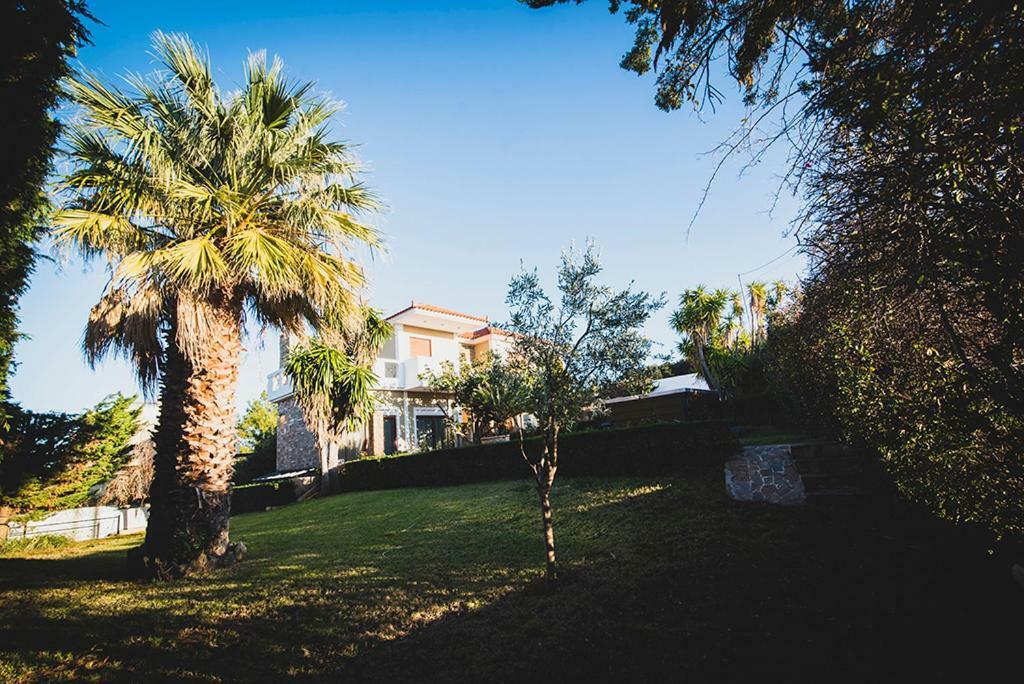 Villa Soula Anavyssos Bagian luar foto